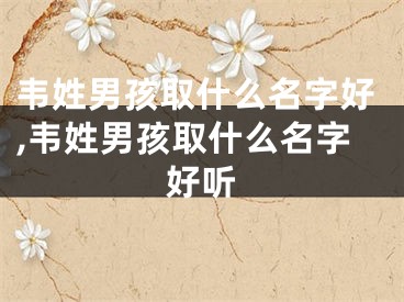 韦姓男孩取什么名字好,韦姓男孩取什么名字好听