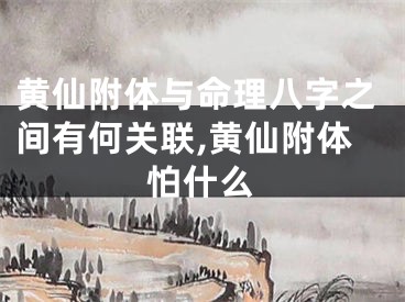 黄仙附体与命理八字之间有何关联,黄仙附体怕什么