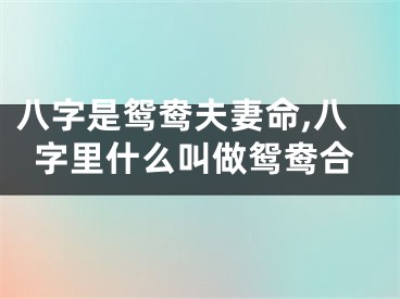八字是鸳鸯夫妻命,八字里什么叫做鸳鸯合