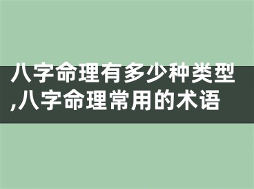 八字命理有多少种类型,八字命理常用的术语