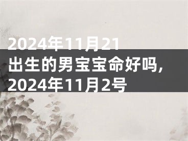 2024年11月21出生的男宝宝命好吗,2024年11月2号