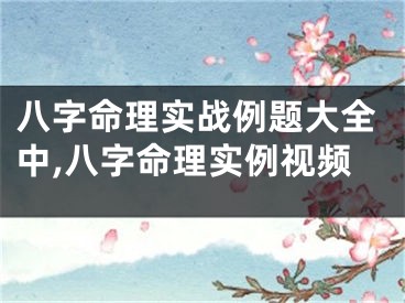 八字命理实战例题大全中,八字命理实例视频
