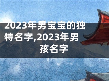 2023年男宝宝的独特名字,2023年男孩名字