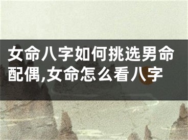 女命八字如何挑选男命配偶,女命怎么看八字