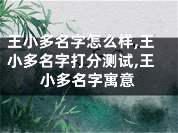 王小多名字怎么样,王小多名字打分测试,王小多名字寓意