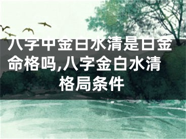 八字中金白水清是白金命格吗,八字金白水清格局条件