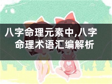 八字命理元素中,八字命理术语汇编解析