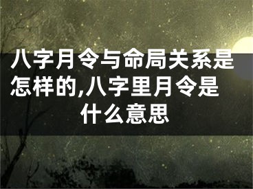 八字月令与命局关系是怎样的,八字里月令是什么意思