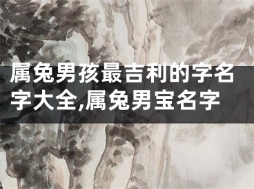属兔男孩最吉利的字名字大全,属兔男宝名字
