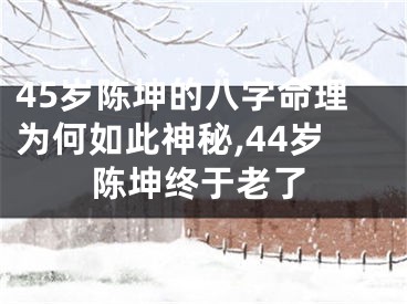 45岁陈坤的八字命理为何如此神秘,44岁陈坤终于老了