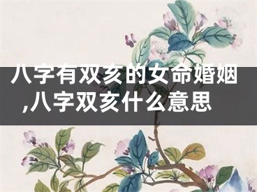 八字有双亥的女命婚姻,八字双亥什么意思