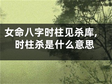 女命八字时柱见杀库,时柱杀是什么意思