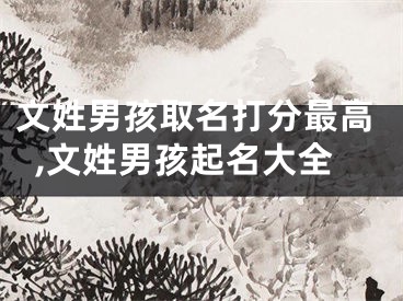 文姓男孩取名打分最高,文姓男孩起名大全