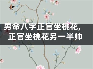 男命八字正官坐桃花,正官坐桃花另一半帅