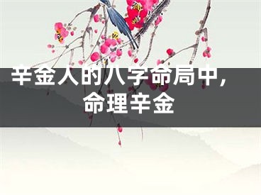 辛金人的八字命局中,命理辛金