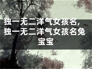 独一无二洋气女孩名,独一无二洋气女孩名兔宝宝