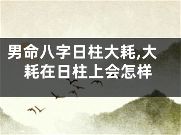 男命八字日柱大耗,大耗在日柱上会怎样