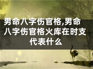 男命八字伤官格,男命八字伤官格火库在时支代表什么