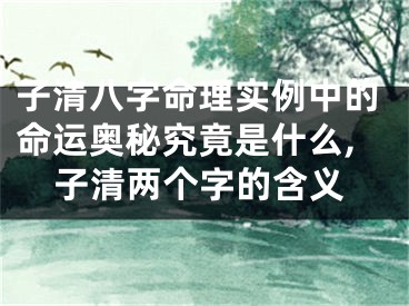 子清八字命理实例中的命运奥秘究竟是什么,子清两个字的含义