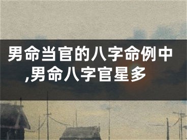 男命当官的八字命例中,男命八字官星多