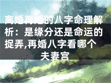 离婚再婚的八字命理解析：是缘分还是命运的捉弄,再婚八字看哪个夫妻宫