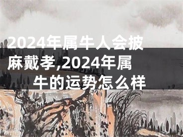 2024年属牛人会披麻戴孝,2024年属牛的运势怎么样