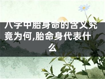 八字中胎身命的含义究竟为何,胎命身代表什么