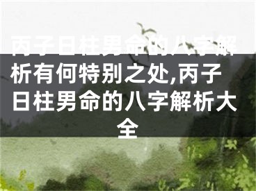 丙子日柱男命的八字解析有何特别之处,丙子日柱男命的八字解析大全