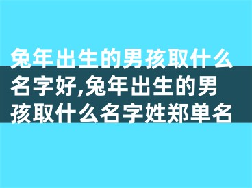 兔年出生的男孩取什么名字好,兔年出生的男孩取什么名字姓郑单名