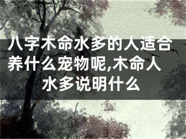 八字木命水多的人适合养什么宠物呢,木命人水多说明什么
