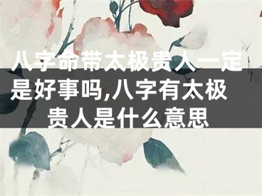 八字命带太极贵人一定是好事吗,八字有太极贵人是什么意思