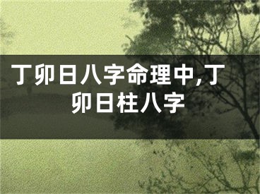 丁卯日八字命理中,丁卯日柱八字