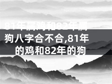 81年属鸡和82年属狗八字合不合,81年的鸡和82年的狗