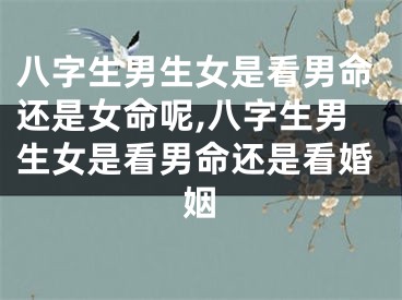 八字生男生女是看男命还是女命呢,八字生男生女是看男命还是看婚姻
