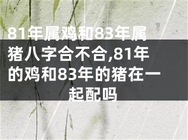 81年属鸡和83年属猪八字合不合,81年的鸡和83年的猪在一起配吗