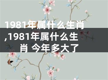 1981年属什么生肖,1981年属什么生肖 今年多大了