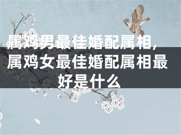 属鸡男最佳婚配属相,属鸡女最佳婚配属相最好是什么