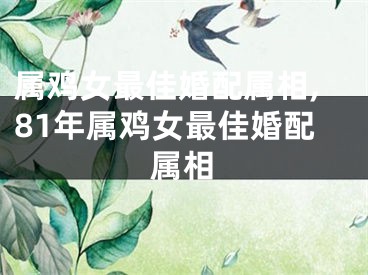 属鸡女最佳婚配属相,81年属鸡女最佳婚配属相