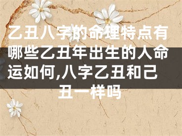 乙丑八字的命理特点有哪些乙丑年出生的人命运如何,八字乙丑和己丑一样吗