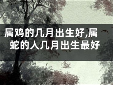 属鸡的几月出生好,属蛇的人几月出生最好