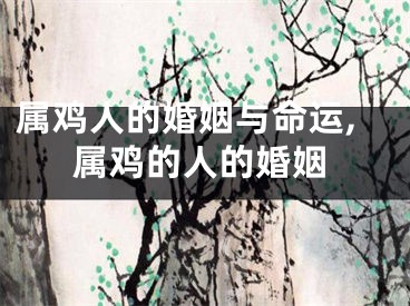 属鸡人的婚姻与命运,属鸡的人的婚姻