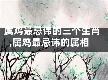 属鸡最忌讳的三个生肖,属鸡最忌讳的属相