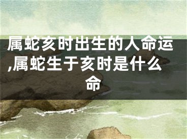 属蛇亥时出生的人命运,属蛇生于亥时是什么命