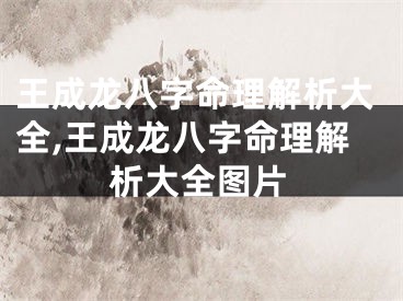 王成龙八字命理解析大全,王成龙八字命理解析大全图片