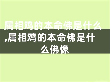 属相鸡的本命佛是什么,属相鸡的本命佛是什么佛像