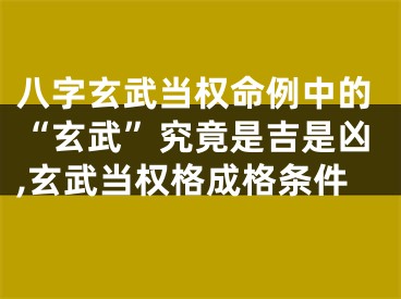 八字玄武当权命例中的“玄武”究竟是吉是凶,玄武当权格成格条件