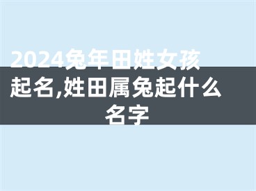 2024兔年田姓女孩起名,姓田属兔起什么名字