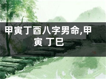 甲寅丁酉八字男命,甲寅 丁巳