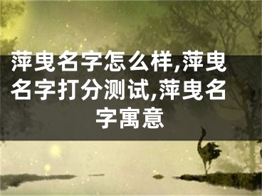 萍曳名字怎么样,萍曳名字打分测试,萍曳名字寓意