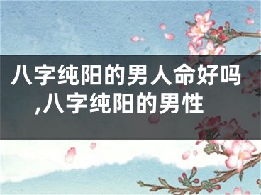 八字纯阳的男人命好吗,八字纯阳的男性